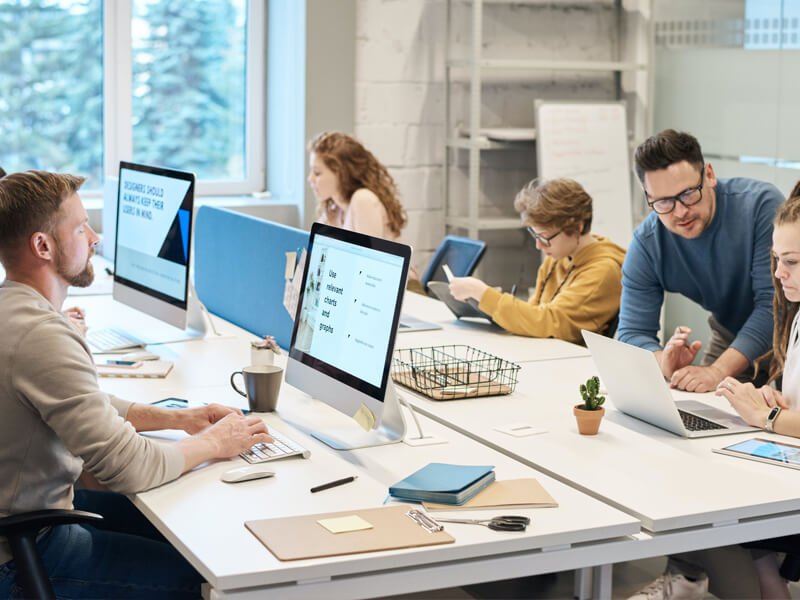 Project Consultation